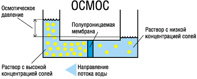 прямой осмос